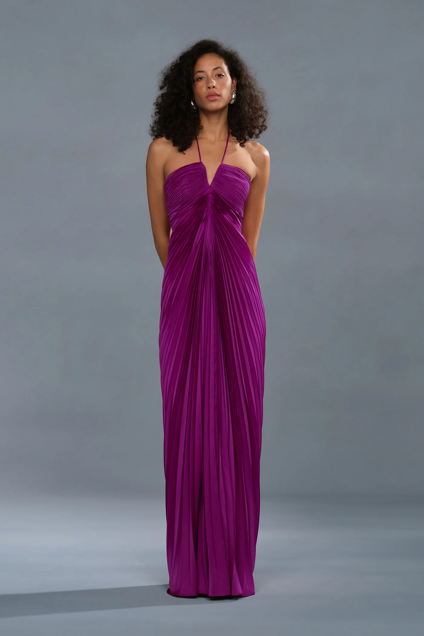 Ionea Pleated Gown - Image 6