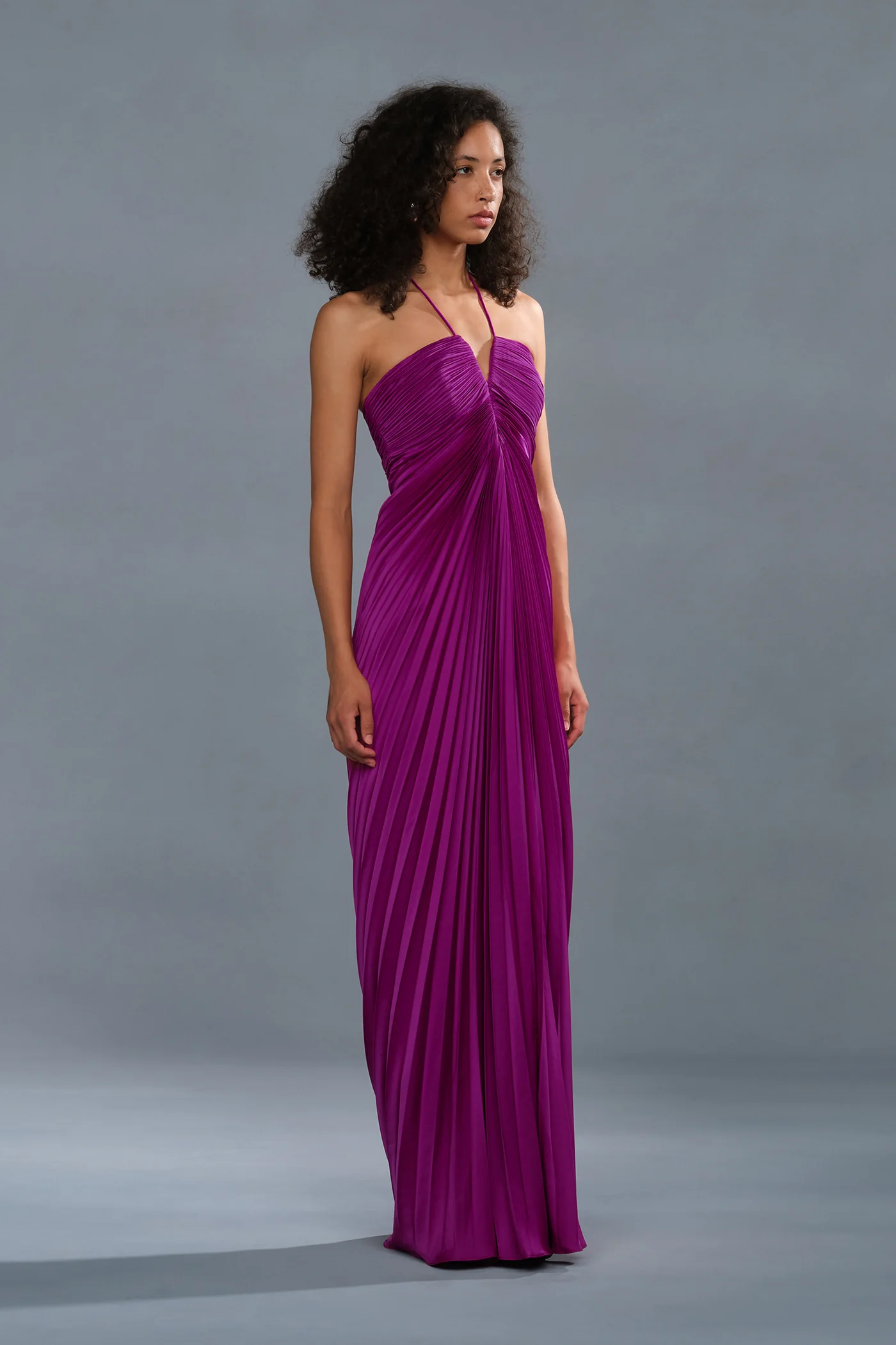 Ionea Pleated Gown - Image 7